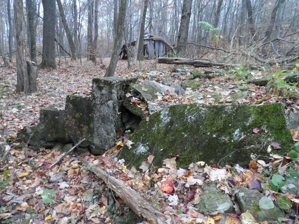 Far Pocosan, or, Pocosin Mission; Shenandoah National Park ...